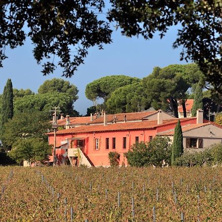 Le Gite Des Cinq Cepages Fréjus 外观 照片