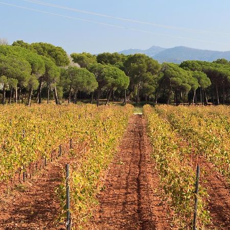 Le Gite Des Cinq Cepages Fréjus 外观 照片