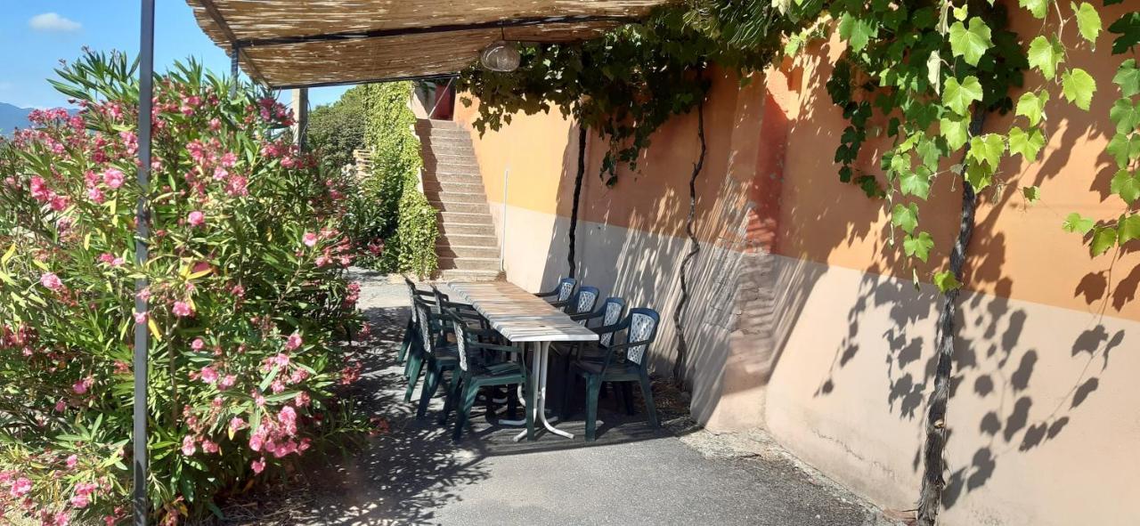 Le Gite Des Cinq Cepages Fréjus 外观 照片