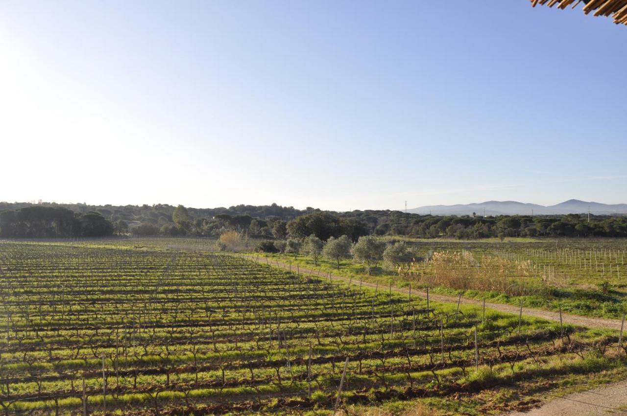 Le Gite Des Cinq Cepages Fréjus 外观 照片